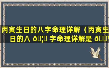 丙寅生日的八字命理详解（丙寅生日的八 🦋 字命理详解是 🐼 什么）